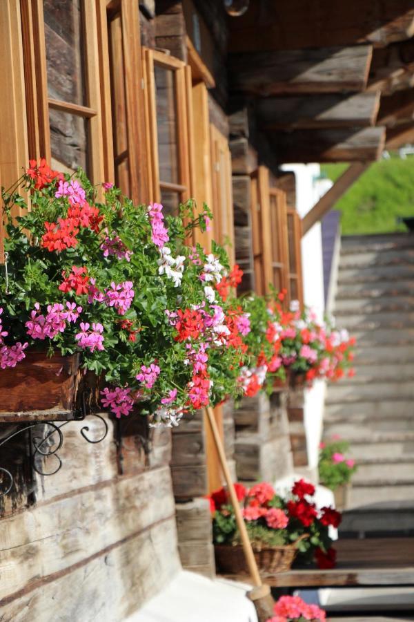 Schmiedlehnerhof Βίλα Birnberg Εξωτερικό φωτογραφία